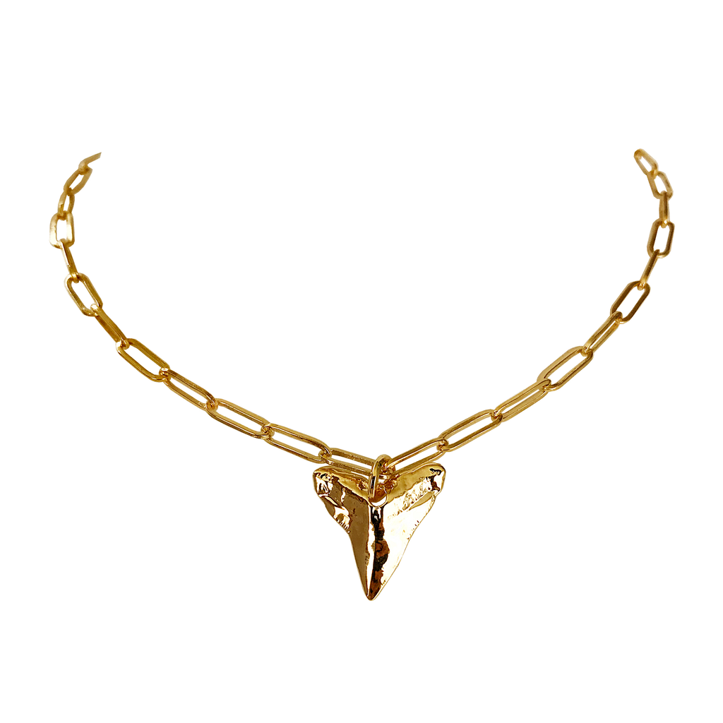 Shark tooth hot sale necklace choker